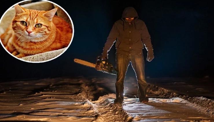 इंसानों का नहीं बिल्लियों का कत्ल करता था यह सीरियल किलर, आज भी बना हुआ है रहस्य