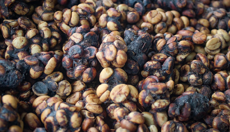 bali unique experiences,must-have experiences in bali,unconventional encounters in bali,experiencing bali unique offerings,captivating experiences in bali,bali  extraordinary adventures,unique attractions in bali,bali off-the-beaten-path experiences,exceptional activities in bali,bali hidden gems,authentic bali experiences,unforgettable moments in bali,bali unconventional adventures,experiencing bali like a local