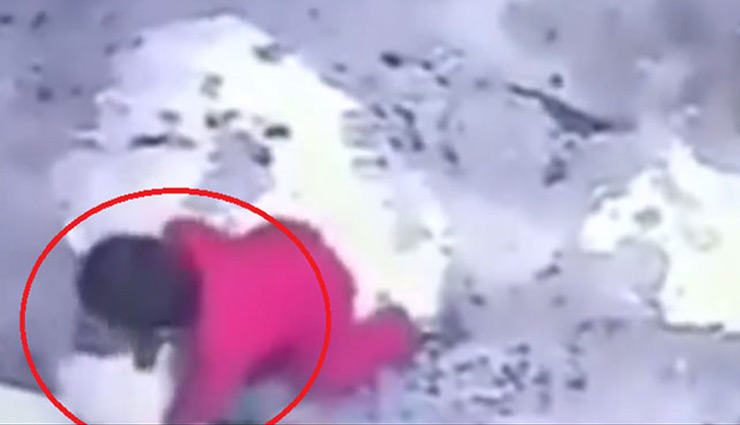 अपनी जान पर खेलकर बिल्ली ने बचाई बच्चे की जान, वीडियो हुआ वायरल