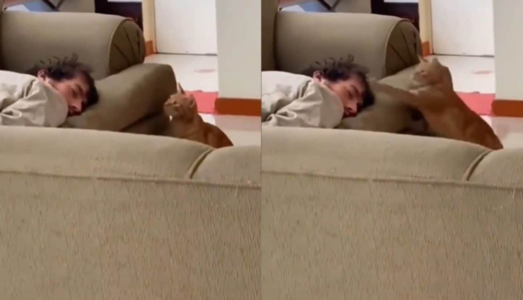 Video : सोते हुए शख्स पर बिल्ली ने कर डाली थप्पड़ों की बौछार, आप भी नहीं रोक पाएंगे खुद को हंसने से