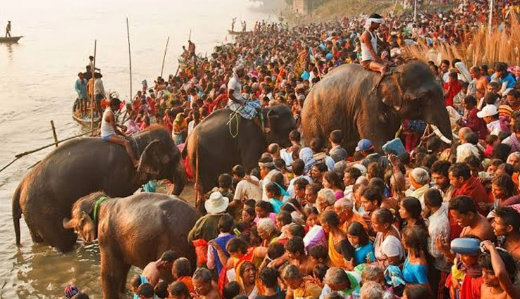 biggest cattle fair,cattle fair in india,india,sonepur cattle fair,nagaur cattle fair,jhalawar cattle fair,pushkar cattle fair,kolayat cattle fair