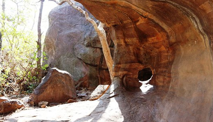 ajanta ellora caves,bagh caves,bhimbetka caves,udayagiri caves,elephanta caves,caves in india,places in india