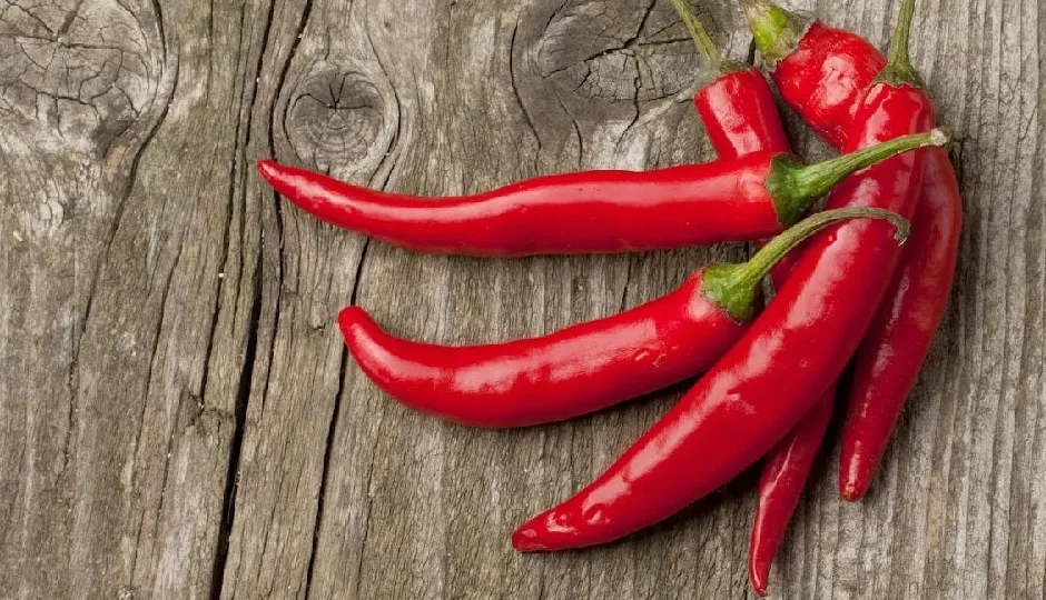 तीखी लाल मिर्च: सेहत के लिए वरदान, आंखों से लेकर दिल तक का रखती खास ख्याल