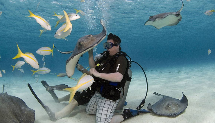 cayman islands,places to visit in cayman islands,tourist attractions in cayman islands,seven mile beach,stingray city,george town,diving in the cayman islands,atlantis submarines,cayman turtle centre island wildlife encounter,bloody bay marine reserve,little cayman