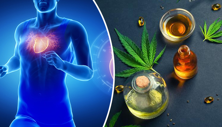 6 Most Amazing Health Benefits of Cannabidiol Oil