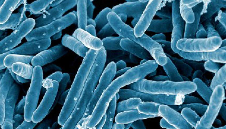 health benefits of cbg,cbg,Health tips,fitness tips