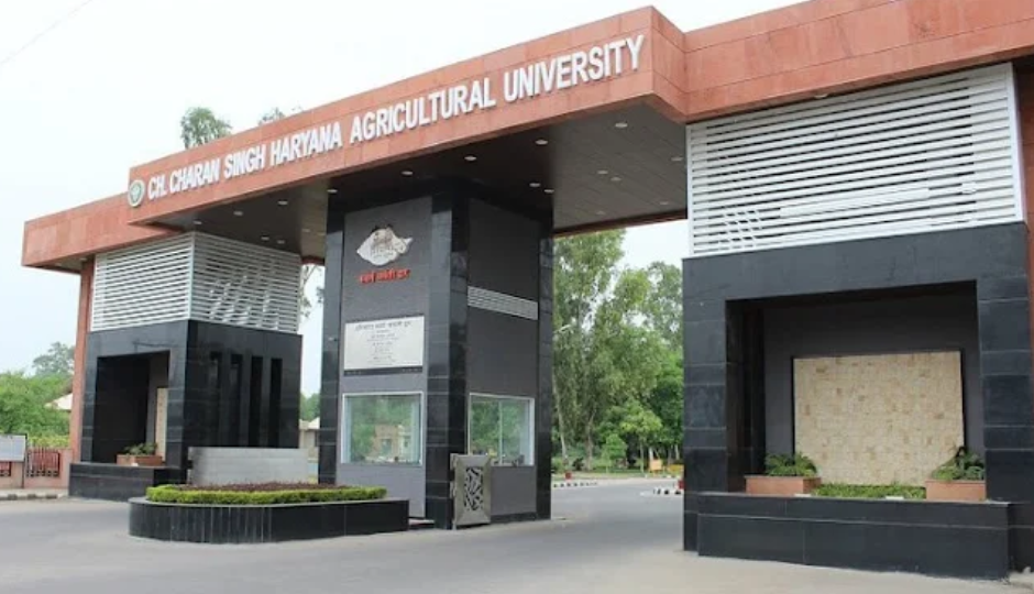 CCS HAU : 390 अप्रेंटिस पदों पर भर्ती के लिए नोटिफिकेशन जारी, इस दिन तक कर सकते हैं आवेदन