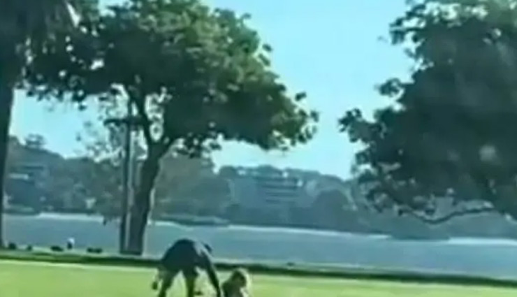 पार्क में शारीरिक संबंध बना रहा था कपल, CCTV में हुआ कैद