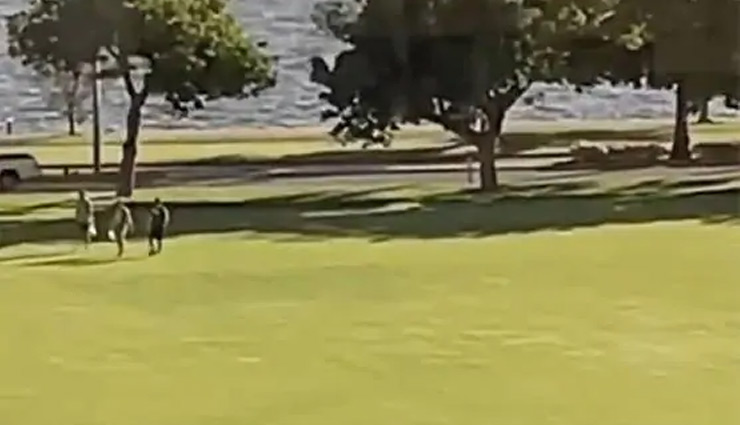 couple,very,intimate,park,caught,weird news in hindi