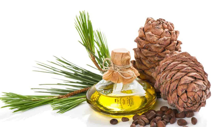 best natural oils for hair growth,natural oils for hair growth,hair growth  tips,essential oils for hair growth,beauty tips,beauty hacks