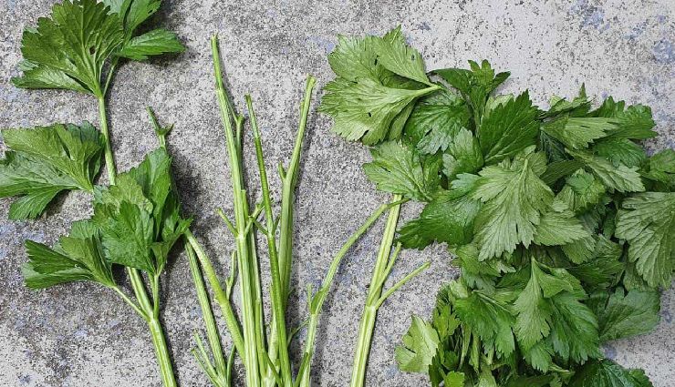 water retention causes,how to reduce water retention,foods to reduce water retention,edema symptoms,water retention in women,fluid buildup in body,premenstrual water retention,hormonal water retention,swelling in feet and hands,natural remedies for water retention