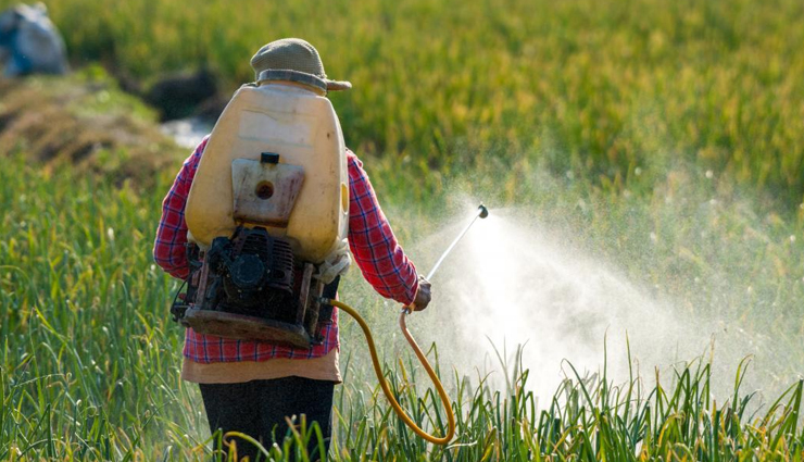 celery,side effects of celery,Health tips,fitness tips