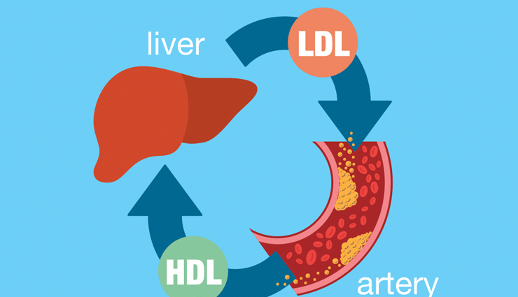 celery,health benefits of celery,Health tips,fitness tips