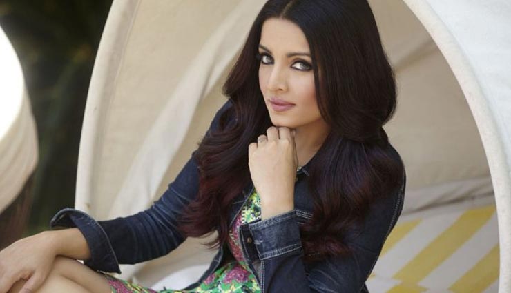 celina jaitley,tanushree dutta,intimacy supervisor,celina jaitley comeback,bollywood,bollywood news hindi,bollywood gossips  hindi