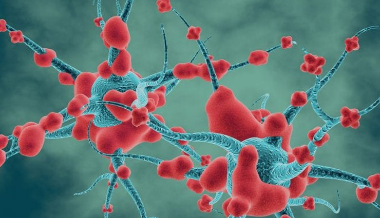 cashews,cashews benefits,cashews for diabetics,cashews for weight loss,cashews health benefits,cashews for beauty,cashews health benefits hindi,cashews nutrients,cashews khane ke fayde,kaju khane ke fayde,cashews for energy,cashews for constipation,cashew for health,cashew benefits