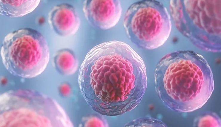 almond benefits,health benefits of almonds,almonds for heart health,almonds for weight loss,almonds for brain health,almonds for skin health,almonds for bone health,almonds for diabetes management,almonds for digestion,almonds for energy