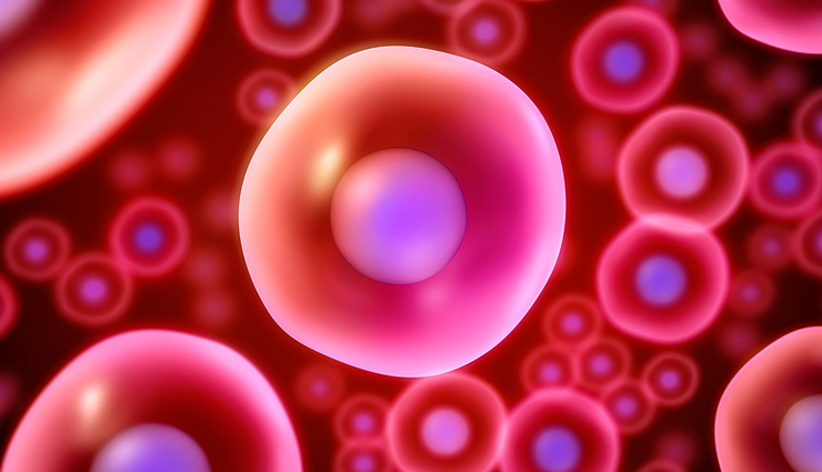 health benefits of rose tea,rose tea benefits,rose tea for skin health,rose tea for immunity,anti-inflammatory properties of rose tea,rose tea for menstrual pain,rose tea for digestion,detox benefits of rose tea,natural stress relief with rose tea