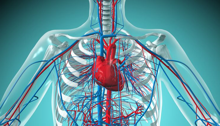 ceylon tea health benefits,benefits of drinking ceylon tea,health advantages of ceylon tea,ceylon tea antioxidants,polyphenols in ceylon tea,ceylon tea immune system benefits,cardiovascular health with ceylon tea,mental alertness and ceylon tea,ceylon tea for skin vitality,weight management with ceylon tea