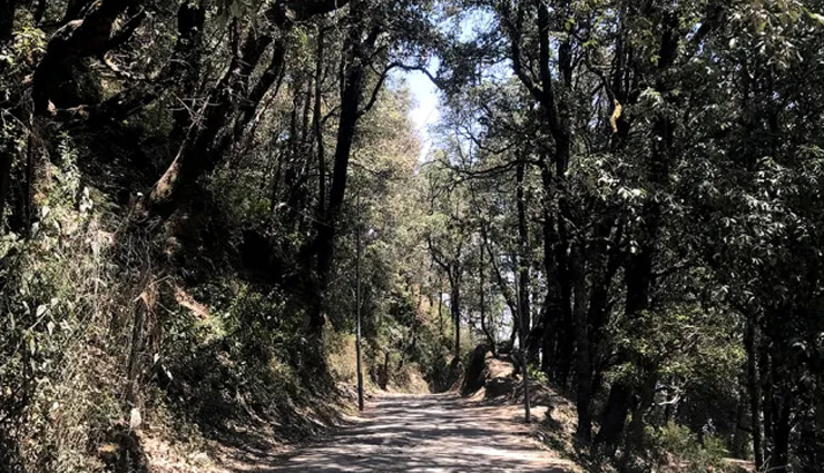 trekking places near shimla,best trekking spots in shimla,shimla trekking trails,top treks near shimla,adventure treks in shimla,easy treks near shimla for beginners,challenging treks near shimla,scenic hiking spots near shimla,famous trekking destinations near shimla,best trekking routes in himachal near shimla