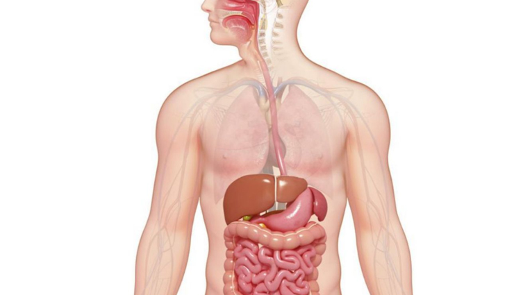 chai tea,health benefits of chai tea,Health tips,fitness tips