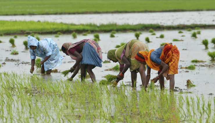 स्वतंत्रता दिवस विशेष : आजादी के 71 साल बाद भी इन चुनौतियों से लड़ रहा है देश 71 years of independence,independence of india,challenges faced by india,independence day