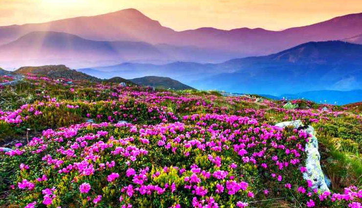 uttarakhand,mountains of uttarakhand,places to visit in uttarakhand,travel,holidays