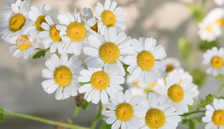 acid reflux in babies,infant reflux treatment,baby gerd remedies,baby reflux solutions,acid reflux management for infants,natural remedies for baby reflux,pediatric gerd treatment,infant acid reflux relief,gastroesophageal reflux in babies,baby heartburn remedies,acid reflux tips for infants,newborn reflux treatment,how to help baby with acid reflux,baby spit-up remedies,colic and acid reflux in babies