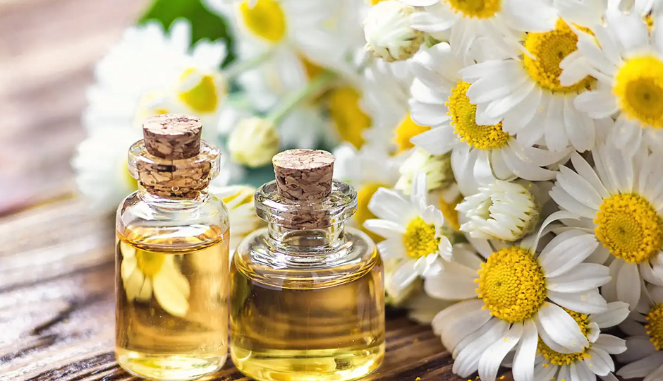 13 Amazing Benefits of Using Chamomile Oil for Skin and Hair