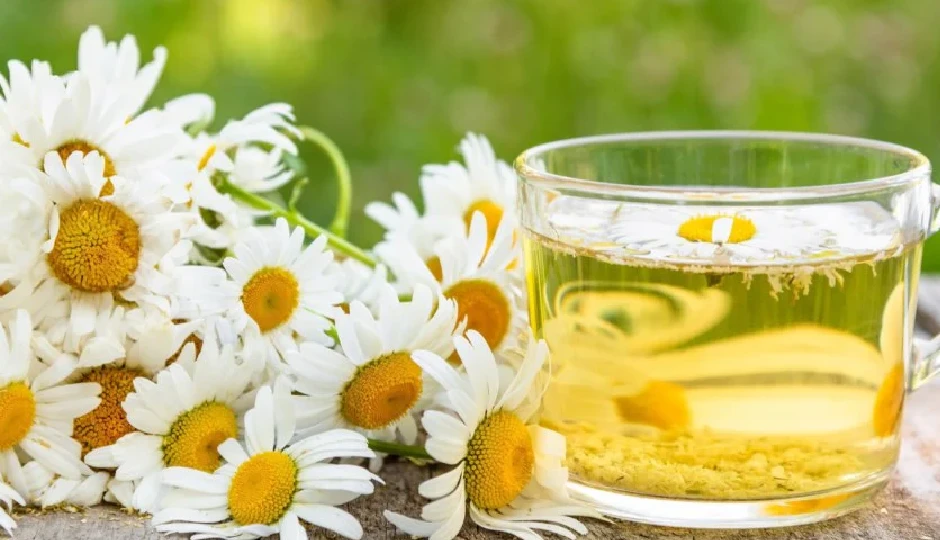 9 Amazing Health Benefits of Chamomile Tea