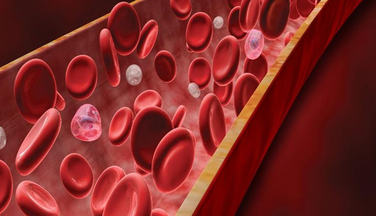 to maintain health in winter,start eating roasted gram from today itself,you will get these benefits,Health,healthy living