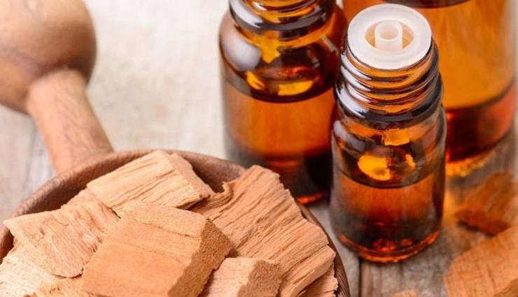 पसीने की बदबू दूर करने के लिए अब महंगे परफ्यूम पर ना लगाए पैसे, इन 7 तेल का करें इस्तेमाल odor elimination oil,oils for removing bad smell,essential oils for odor control,deodorizing oils,eliminating bad odors with oil,aromatherapy for bad smells,natural odor neutralizers,scented oils for odor removal,oil-based air fresheners,neutralizing unpleasant odors with oil,fragrance oils for odor elimination,essential oil diffusers for bad smells,oil-based deodorizers,odor-absorbing oils,aromatic oils for eliminating odors,oil diffusing for odor control,scented oils for freshening spaces,herbal oils for neutralizing odors,natural oils for odor removal,oil-based room sprays for bad smells