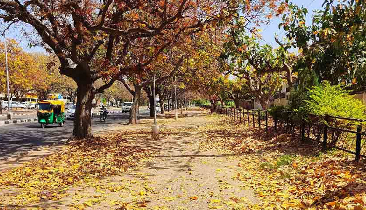 6 Places Tourist Cannot Miss in Chandigarh