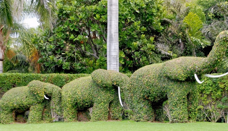 chandigarh,tourist places in chandigarh,rock garden,sukhna lake,art gallery,terraced garden,topiary park