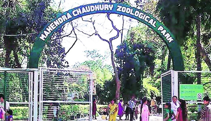 best zoo to visit,best zoo to visit in hindi,best zoo to visit in india