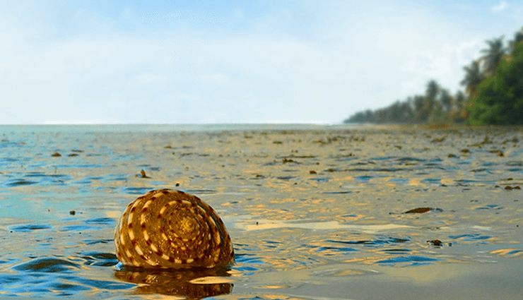 tourist places near cuttack,best getaways from cuttack,bhubaneswar attractions,konark sun temple,puri jagannath temple,chilika lake,dhenkanal travel guide,bhitarkanika national park,simlipal national park,ratnagiri udayagiri lalitgiri,chandipur beach,gopalpur-on-sea