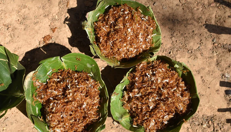 strange dishes served in india,india travel,india tourism,holidays in india