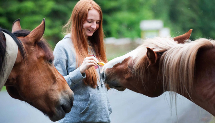 owning a horse,health benefits of owning horse,Health tips,fitness tips