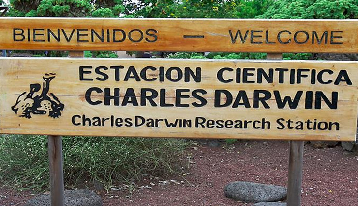 galapagos,tourist destinations in galapagos,kicker rock tour,reserva el chato,las loberias,las tintoreras,charles darwin research center,tourist places,holidays,travel