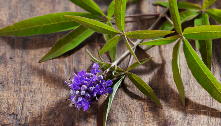 females health,infertility in females,home remedies to treat infertility in females,females health,females health problem,Health tips,healthy living