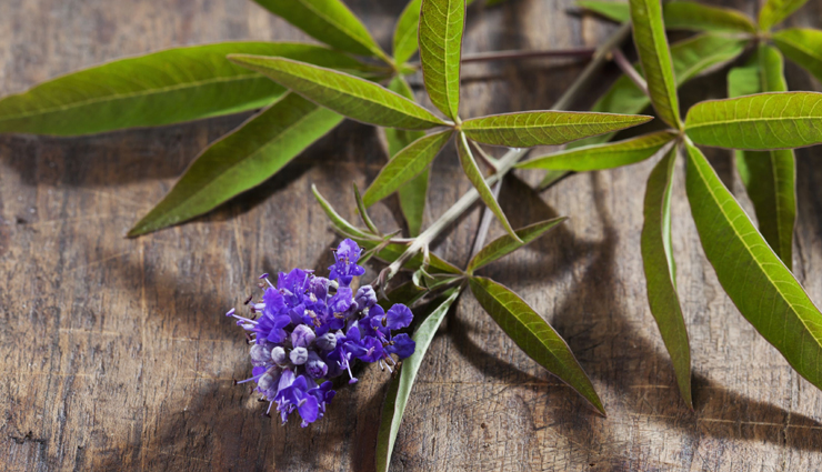 pregnant,increase change of being pregnant,pregnancy,Health,Health tips