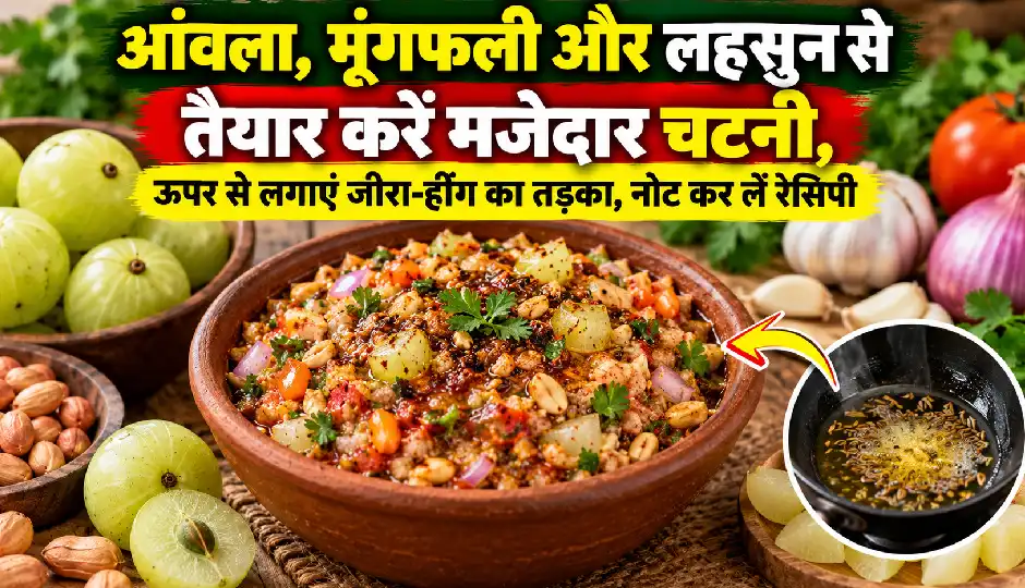 आंवला, मूंगफली और लहसुन से तैयार करें मजेदार चटनी, ऊपर से लगाएं जीरा-हींग का तड़का, नोट कर लें रेसिपी