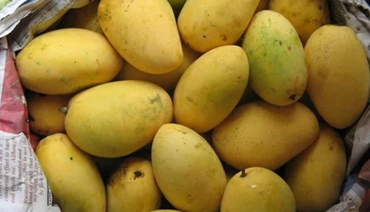 mango varieties,types of mangoes,different mango cultivars,popular mango types,exotic mango varieties,unique mango cultivars,mango species and varieties,mango diversity and types,best mango types to try,exploring different mango varieties