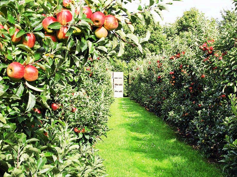 uttarakhand,ranikhet,uttarakhand tourism,travel,holidays