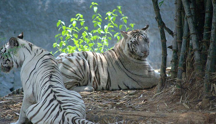 beautiful places in chennai,chennai tourist attractions,must-visit spots in chennai,scenic places in chennai,top tourist destinations chennai,chennai picturesque locations,scenic attractions in chennai,chennai captivating landmarks,beautiful sights in chennai,visually appealing spots in chennai,iconic places in chennai,chennai scenic viewpoints,chennai charming destinations,enchanting tourist spots in chennai,chennai aesthetic attractions