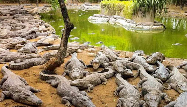 beautiful places in chennai,chennai tourist attractions,must-visit spots in chennai,scenic places in chennai,top tourist destinations chennai,chennai picturesque locations,scenic attractions in chennai,chennai captivating landmarks,beautiful sights in chennai,visually appealing spots in chennai,iconic places in chennai,chennai scenic viewpoints,chennai charming destinations,enchanting tourist spots in chennai,chennai aesthetic attractions