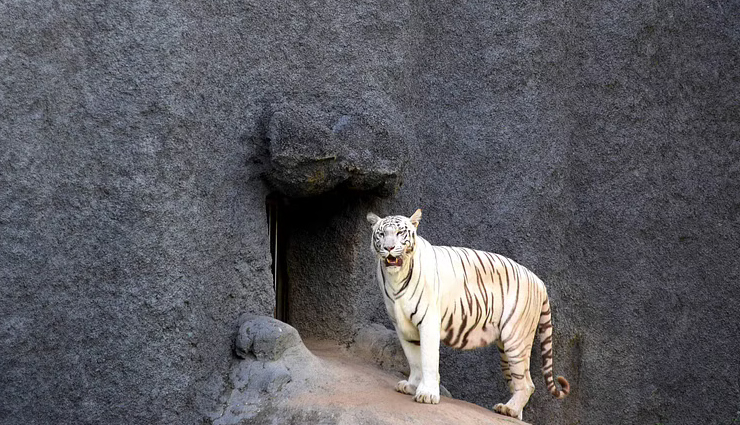 largest zoos of india,holidays,travel,tourism
