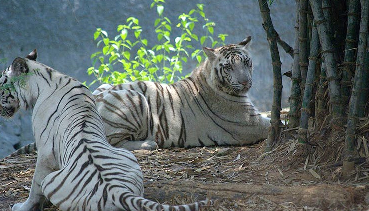 tourist places to visit in chennai,holidays,travel,tourism