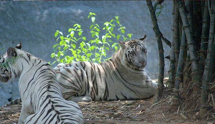 attractions in chennai,spots to visit in chennai,travel,tourism,holidays