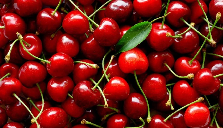 kidney stones diet,foods for kidney health,kidney stone prevention,renal calculi diet,calcium oxalate stones,kidney stone treatment,diet for kidney stones,healthy kidneys,nutrition for kidney health,kidney stone management