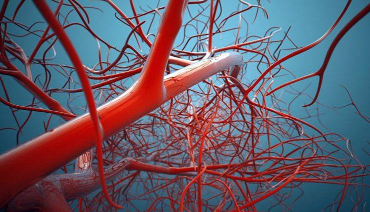 health benefits of cherries during pregnancy,pregnancy tips,Health tips,fitness tips